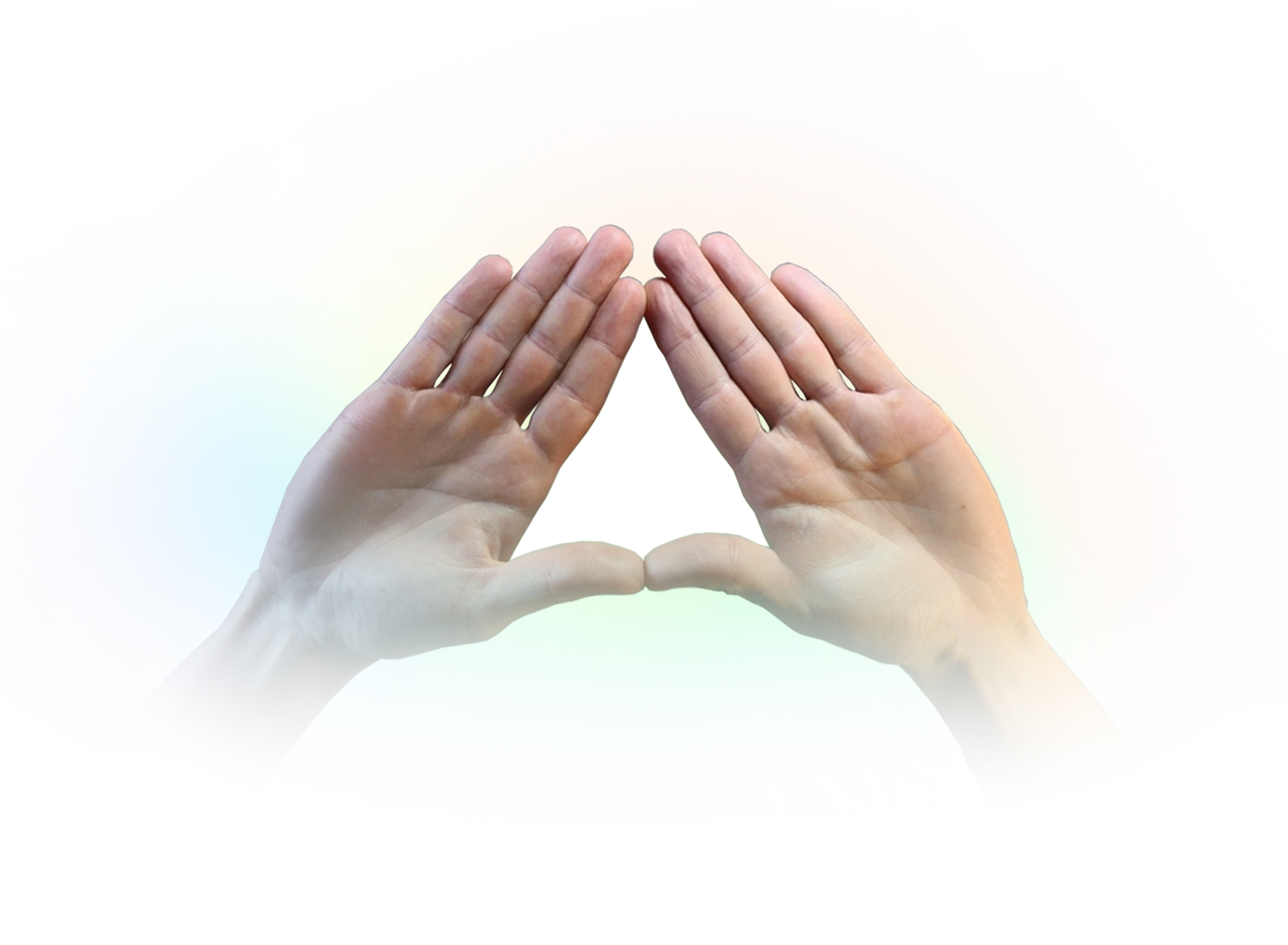 WEBTOTO moves with your heartbeat!