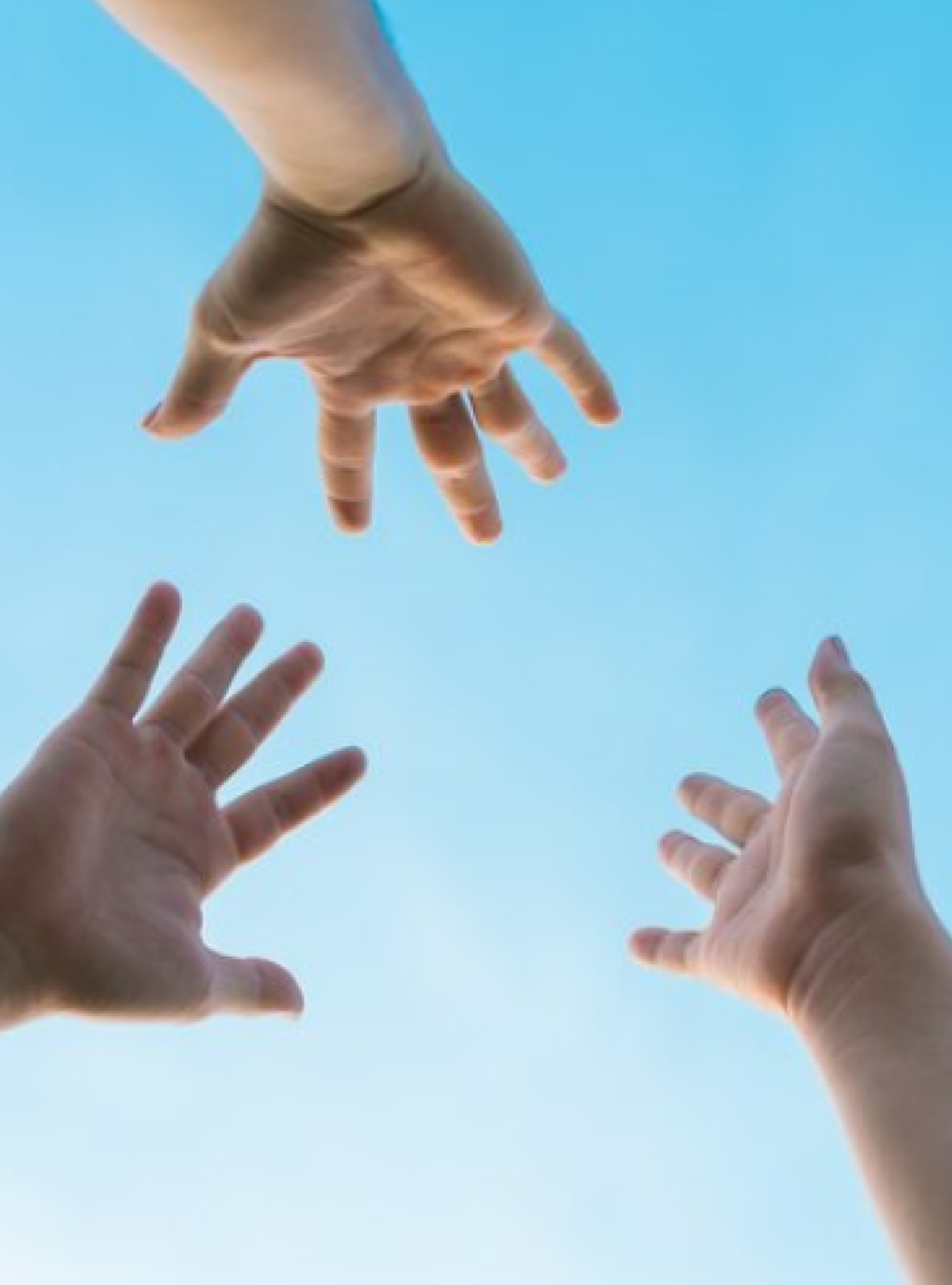 WEBTOTO is your daily reset!