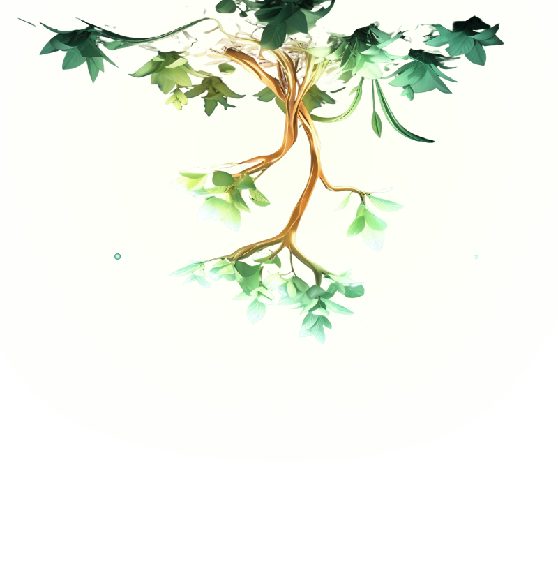 Harvest miracles through Webtoto Heal!